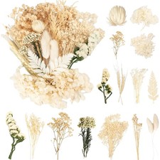 Getrocknete Blumen Trockenblumen Basteln Dekoration Kunst Heim DIY Set