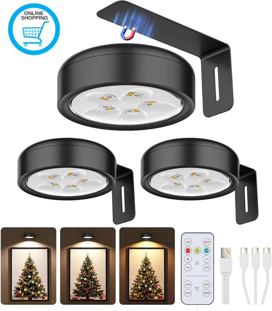 Picture Lights for Wall 3Pack, Rechargeable Wall Lights Art Lights for Home Bedr
