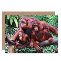 Orang-Utan Affenfamilie Auf Dschungelbaum SüßEs Tier Geburtstagskarte