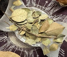 Myrtle Leaf, Love, Youth, Peace, Money, Fortune, Pagan, Witchcraft