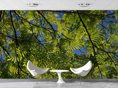 3D Green Tree Close-up Wall Murals Wallpaper Murals Wall Sticker