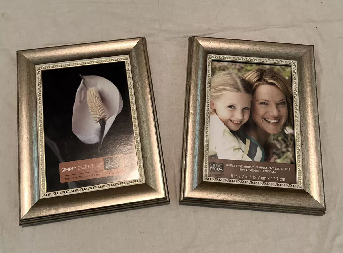 Michaels Brush Gold Set Of 2 Identical 5 x 7 Photo Frames eBay