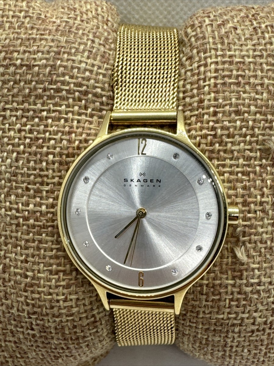 Skagen Anita Lille SKW2150 Women's Gold-Tone Stainless Steel