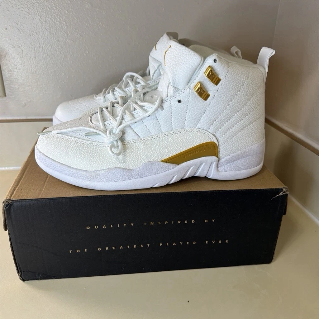 Las mejores ofertas en Jordan 12 | eBay