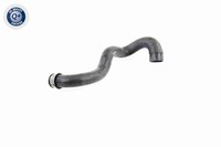 Vaico KüHlerschlauch Q+ V30-1919 FüR Mercedes W211 Klasse Model S211 240 211 061