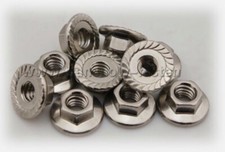 1/4"-20 (EXTRA WIDE) Flange Nuts &bull; 316 Stainless Steel &bull; Serrated Hex &bull; Qty 200