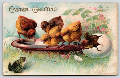 Easter~Chicks Jump From Water Dish to Check Out Frog~Hatch Egg~Embossed c1908