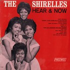 "THE SHIRELLES" Here & now / LP 33tours US (PRICEWISE 4002 Mono) MINT