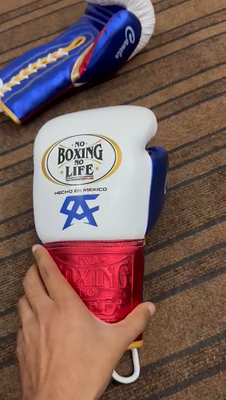 No Boxing No Life Boxing Gloves Pro Training Sparring winning