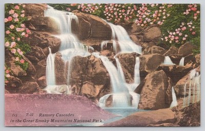 Ramsey Cascades Great Smoky Mountains National Park NC TN Postcard c1940s