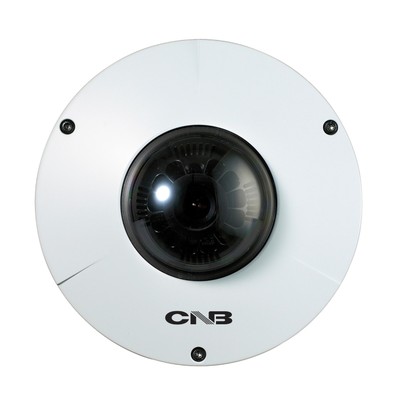 Outdoor IP Vandal Dome Camera Full HD 2 Megapixel Weatherproof CCTV CNB NV21-0MH