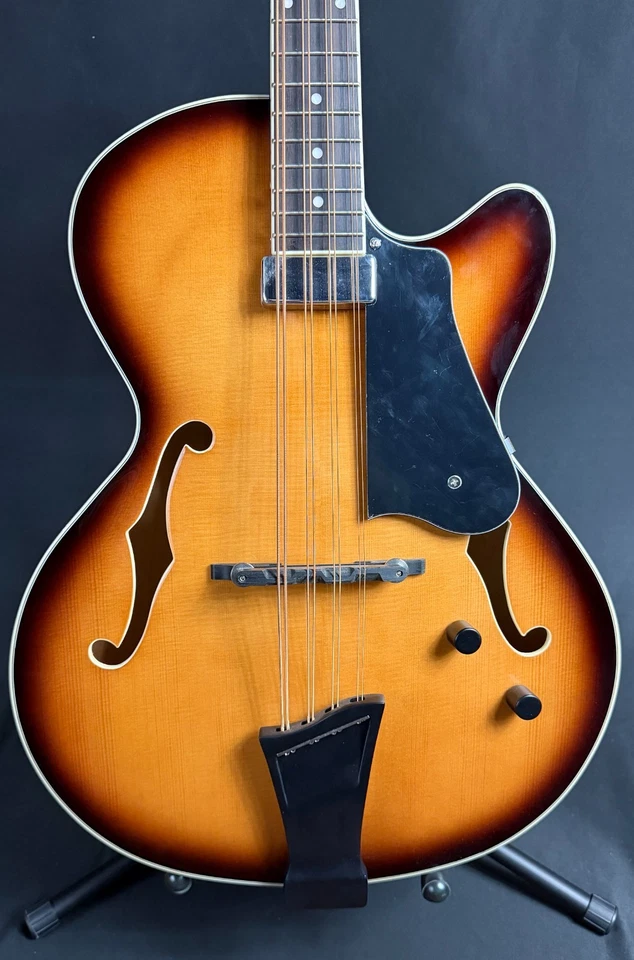 Gold Tone Mandocello 8-String Acoustic-Electric Vintage Sunburst w/ Case - Image 2 of 4