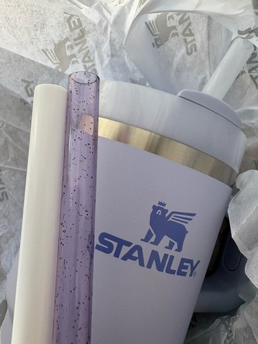 Stanley Quencher H2.0 20 oz Tumbler