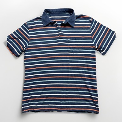 Patagonia Polo Shirt Mens M Blu/Org Striped Short Sleeve Organic Cotton