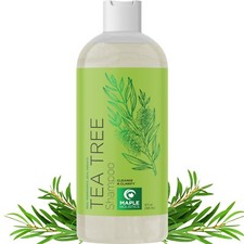 Tea Tree Shampoo for Oily Hair