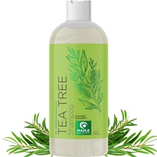 Tea Tree Shampoo for Oily Hair