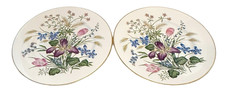 Set of 2 Franciscan Fine China Mariposa Floral Dinner Plates Leaves 10.5 "