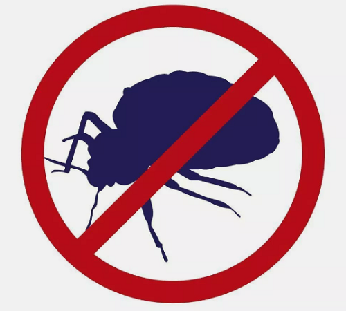 3 x Bed Bug & Dust Mite Killer Spray 500ml Bug Control Treatment Dust Repellent - Picture 6 of 6