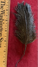 Antique Feather To Adorn Bonnet For Fashion Or Lady Doll Or Other Doll