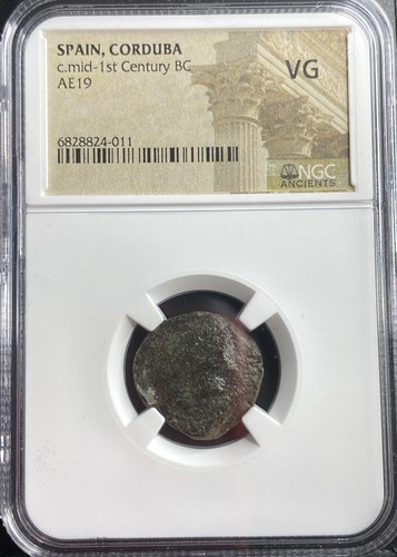 Antica moneta iberica celtica corduba 50 a.C. alata Cupido Turduli popolo NGC rara - Foto 1 di 11