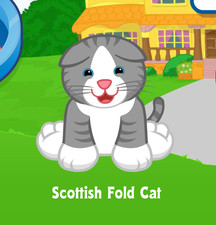 Webkinz Scottish Fold Cat Virtual Adoption Code Only Messaged Webkinz Promo Cat 