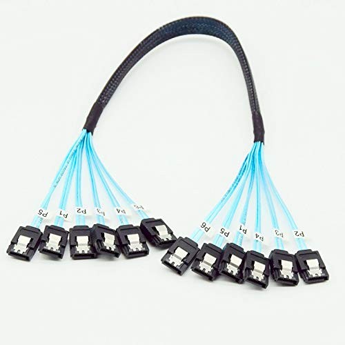 YIWENTEC High Speed 6Gbps Sata 3 iii Cable Sas for 6 SATA 0.5M, 6 sata
