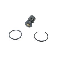 Thermostat KüHlmittel Separates GehäUse 87 °C Triscan FüR U.A. Seat Cordoba