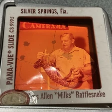 Vintage damaged PANA-VUE SLIDE  Silver Springs Fl Ross Allen Milks Rattlesnake