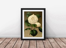 Image of Beautiful Flower Sketch Drawing Art Framed Print