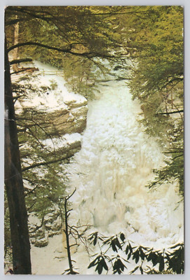 Bushkill Falls Niagara of Pennsylvania Bushkill Pa  vintage UNP 6x4 Postcard d3