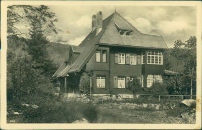 Postcard St. Blasien House Mountain Peace (No.9486)