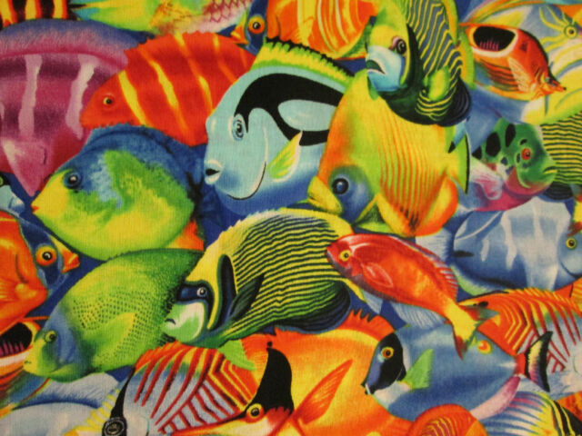 tropical fish colors