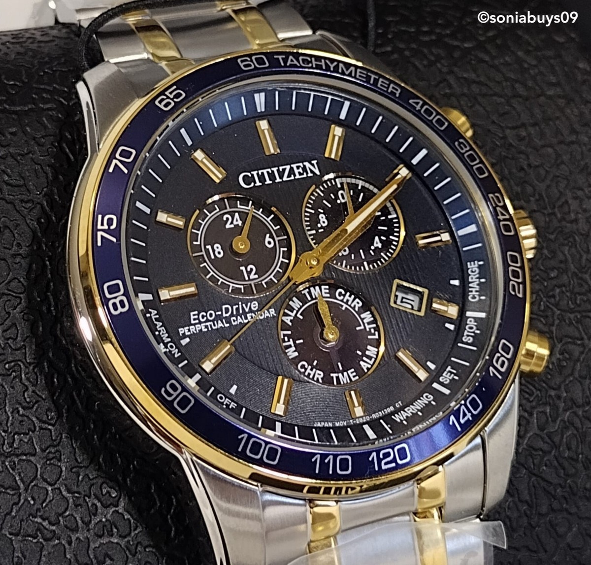 Citizen Eco-Drive Perpetual Calendar Chronograph Watch, BL5517-55L