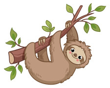 Hanging Rainforest Tree Animal Decor Cartoon Sloth Design Vinyl Home Wall Decal