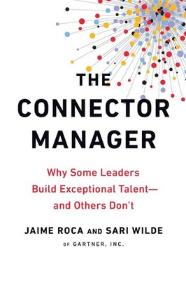 The Connector Manager Jaime Roca (u. a.) Taschenbuch Einband - flex.(Paperback)