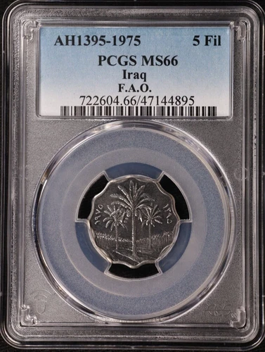 1975 Iraq 5 Fils AH1395 F.A.O. with Legend Stainless Steel Coin NGC MS 66