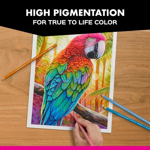 Sanford Premier Professional Soft Core, 12 Colored Pencils, Assorted Colors - Picture 9 of 12