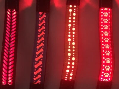 NEW TECH JUNKIES PREMIUM RECHARGEABLE LED GLOW COLLAR dog pet safety light-up flashing glow S M L