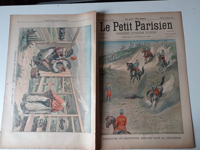 Le petit parisien journal 1907 942 Zucht des Straußen - La plumée