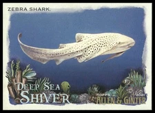2021 Topps Allen & Ginter #DSS-14 Zebra Shark Deep Sea Shiver Insert