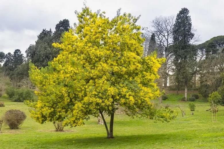 Foto 2 di 6