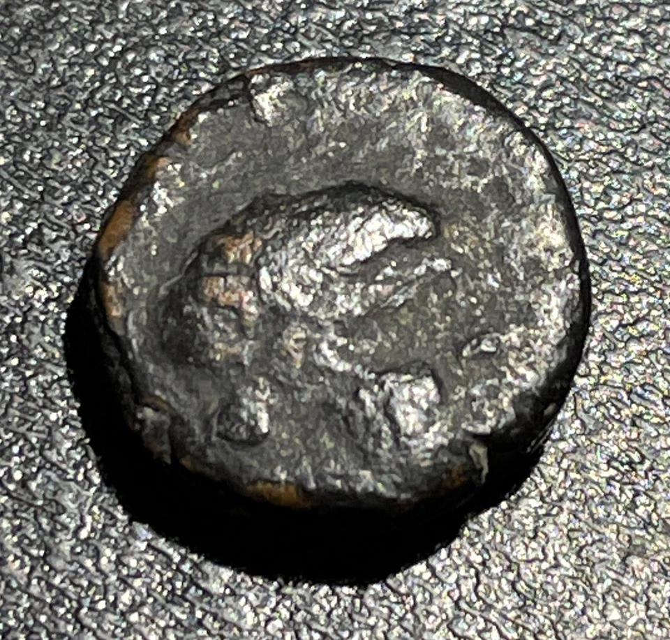 27 BC-14 AD Roman Judea Ascalon Augustus AE 3.0g Caduceus Birth of Jesus Coin - Image 4 of 4