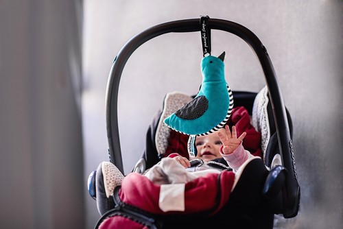 Whisbear Vogel Einschalfhilfe Rosa Rauschen Baby Spieluhr, Letzte Stücke! - Bild 12 von 23
