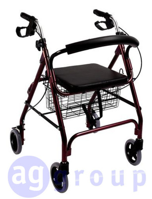 Trotteur Deambulateur Pliant 2 Roues Pivotantes Pour Personnes Agees Handicapes Ebay