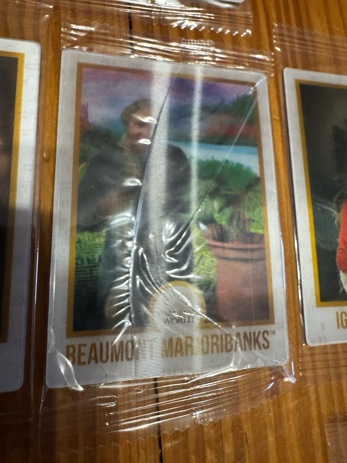 Harry Potter Chocolate Frog Wizarding World Lenticular Cards (Lot of 17) No Dupe