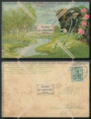 Artist Postcard Happy Pentecost Bull Bull on Pasture 1910 Run