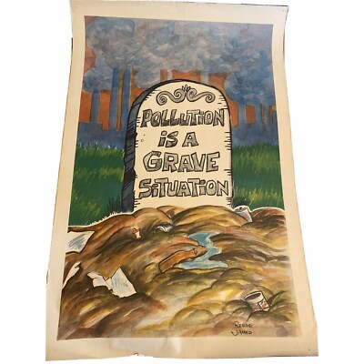 Reese James Pollution is A Grave Situation Poster Environmental Earth Day 1971