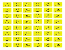 1/24 1/25 scale model car smiley smirky angry face license plates tags 
