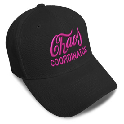 Baseball Cap Chaos Coordinator Playful Rowdy Dad Hats for Men Women  Size