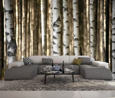 PAPIER PEINT 3D TROMPE L OEIL MODERNE # PHOTO MURALE 3D ...